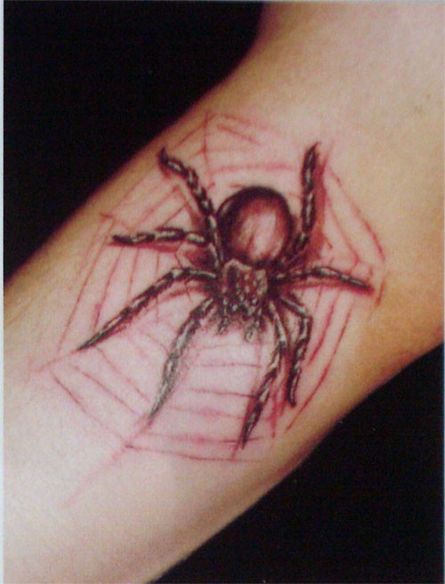 点击大图看下一张：手臂艺术个性蜘蛛纹身图片