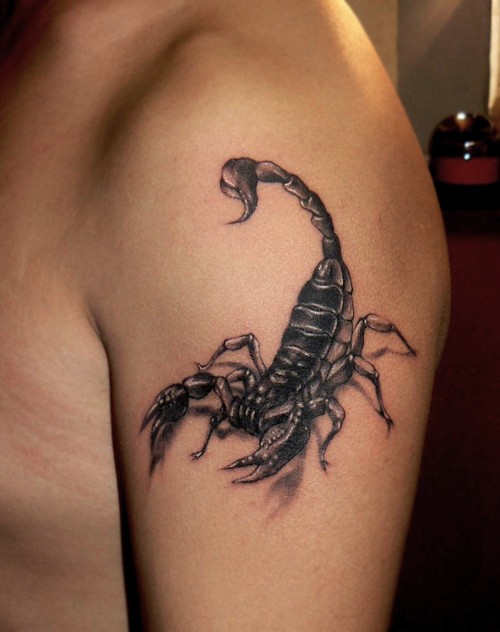 点击大图看下一张：肌肉男手臂毒蝎子纹身图片