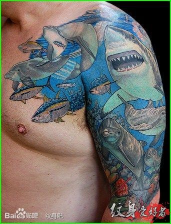 点击大图看下一张：肌肉男肩部鲨鱼的搏斗刺青图案