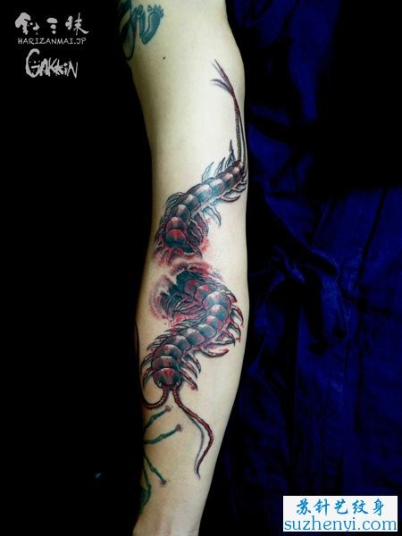 点击大图看下一张：手臂两条蜈蚣纹身作品