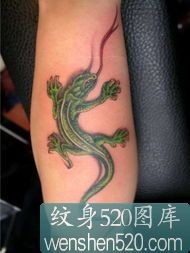 点击大图看下一张：两张手臂上的蜥蜴纹身图片图2