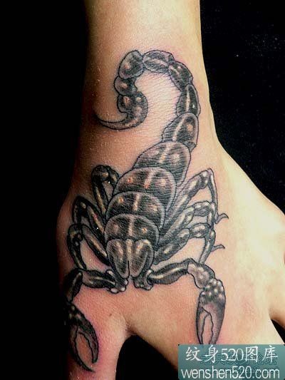 点击大图看下一张：手背虎口上的蝎子纹身作品