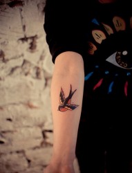 彩色小燕子手臂纹身图案