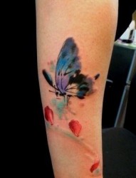 女性喜欢的手臂蝴蝶纹身图片