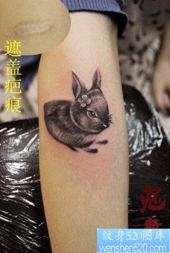 点击大图看下一张：女人手臂可爱小巧的小兔子纹身图片