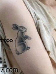 手臂可爱小兔子纹身图片