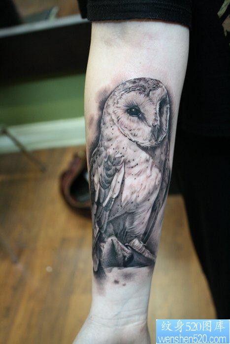 点击大图看下一张：推荐小臂上一张猫头鹰纹身图案