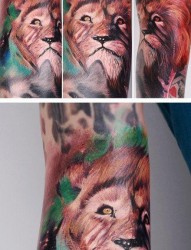 手臂很酷帅气的狮子纹身图片