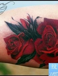 适合遮盖的手臂玫瑰纹身图片作品
