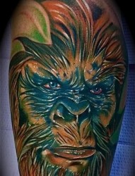 国外一幅手臂彩色猩猩纹身图片作品