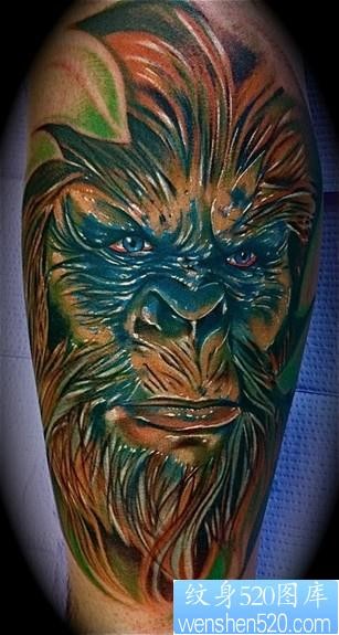 点击大图看下一张：国外一幅手臂彩色猩猩纹身图片作品