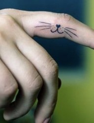 一幅手指超萌的猫咪纹身图片