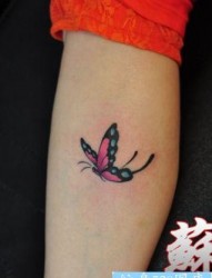 女孩子腿部精美漂亮的蝴蝶纹身图片