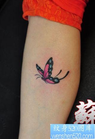 点击大图看下一张：女孩子腿部精美漂亮的蝴蝶纹身图片