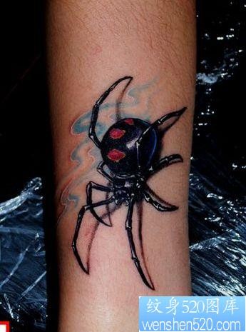 点击大图看下一张：手臂好看的蜘蛛纹身图片
