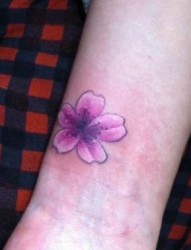 女孩子手臂小巧精美的樱花纹身图片