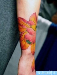 女人手臂精美的彩色莲花纹身图片