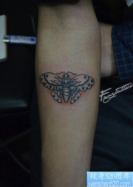 点击大图看下一张：手臂一幅清晰精美的蝴蝶纹身图片