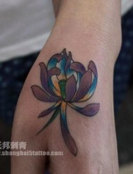 女孩子手臂一幅彩色小莲花纹身图片