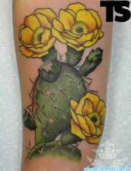 小臂上一幅彩色的仙人掌花纹身图片