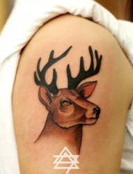 纹身520图库推荐一幅大臂羚羊纹身图片
