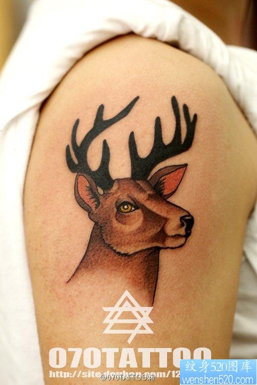 点击大图看下一张：纹身520图库推荐一幅大臂羚羊纹身图片