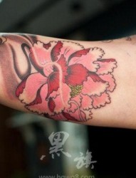 一幅手臂牡丹花纹身图片由纹身520图库推荐