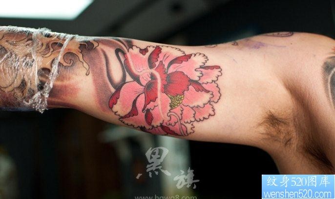 点击大图看下一张：一幅手臂牡丹花纹身图片由纹身520图库推荐