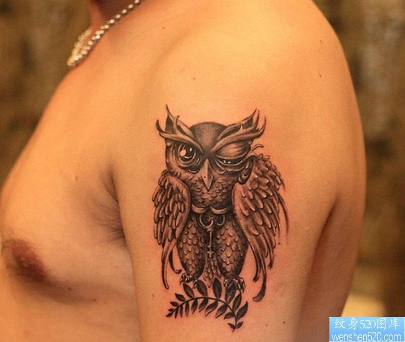 点击大图看下一张：一幅手臂猫头鹰纹身图片由纹身520图库推荐
