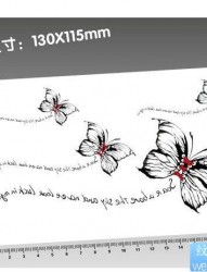 一组蝴蝶文身图片有纹身520图库推荐