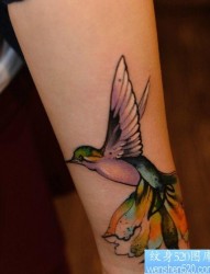 纹身520图库推荐一幅女人手臂彩色燕子文身图片