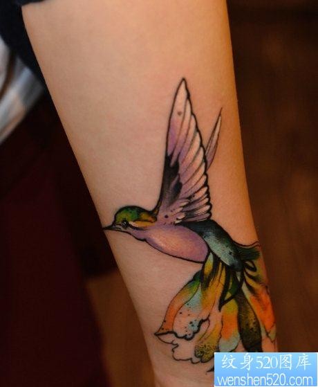 点击大图看下一张：纹身520图库推荐一幅女人手臂彩色燕子文身图片