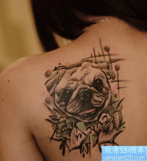 点击大图看下一张：一幅肩部狗狗文身图片由纹身520图库推荐