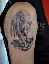 一幅大臂狼纹身图片由纹身520图库推荐