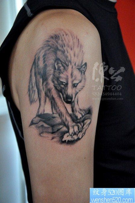 点击大图看下一张：一幅大臂狼纹身图片由纹身520图库推荐
