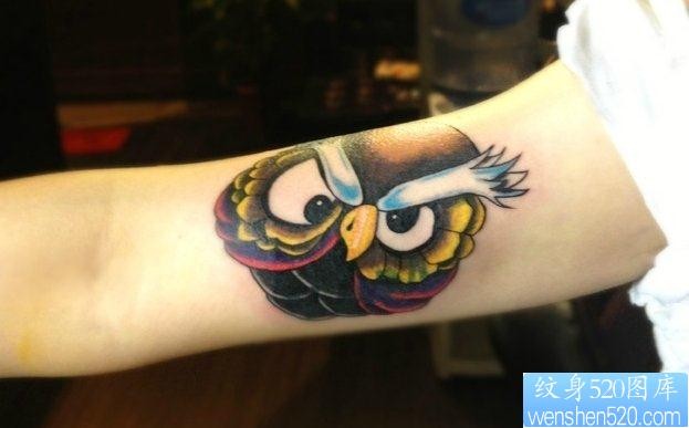 点击大图看下一张：最好的纹身馆推荐一幅手臂彩色猫头鹰纹身图片