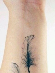 一幅女人手腕羽毛纹身图片由纹身520图库推荐