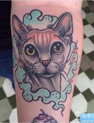 纹身520图库推荐一幅手臂猫咪纹身图片