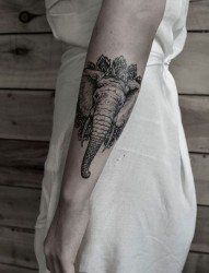 手臂上帅气的大象纹身