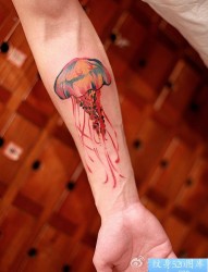 一幅女人手臂彩色水母纹身图片由纹身520图库推荐