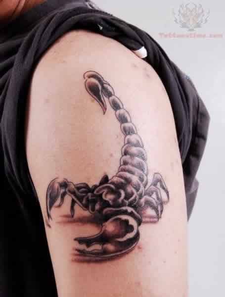 点击大图看下一张：手臂上帅气的蝎子纹身