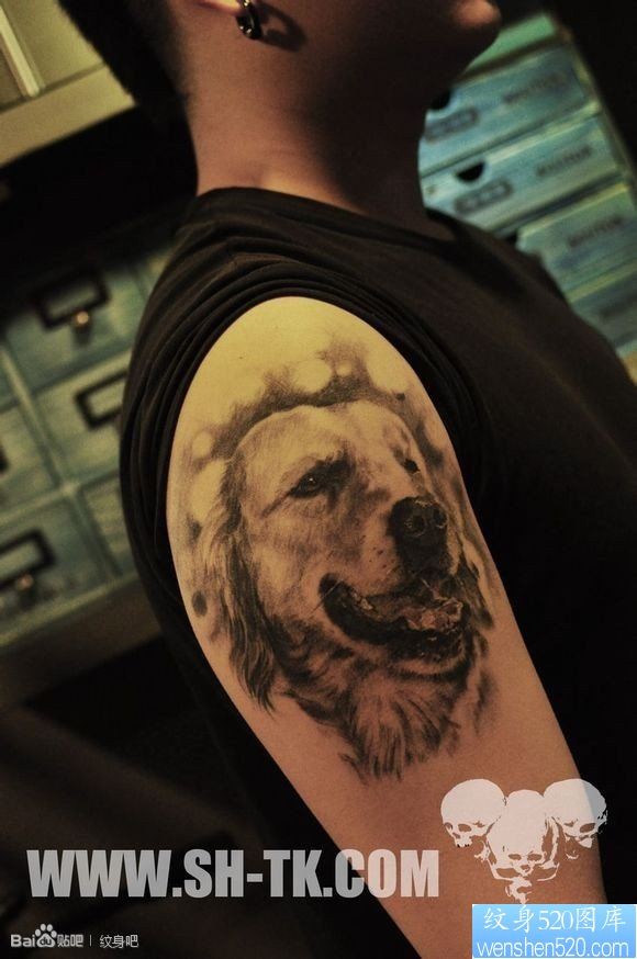 点击大图看下一张：男生胳膊宠物狗纹身图片