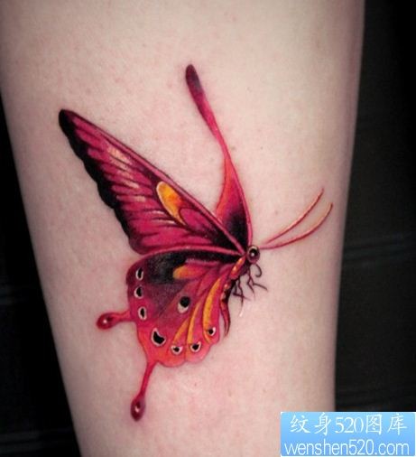点击大图看下一张：彩色蝴蝶纹身作品