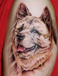 大臂上狗纹身图案