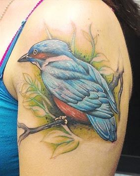 点击大图看下一张：大臂上的翠鸟纹身图案