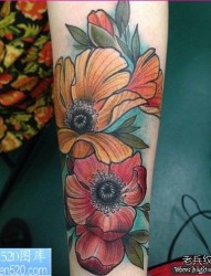 一幅手臂彩色花纹身图库