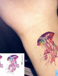 大臂彩色猫头鹰纹身图案图案