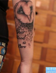 一款小臂上的猫头鹰纹身图案