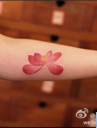 一款手臂莲花纹身图案