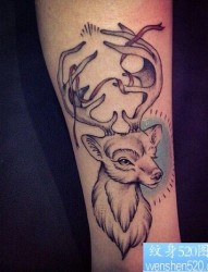 手臂黑灰羚羊纹身图案